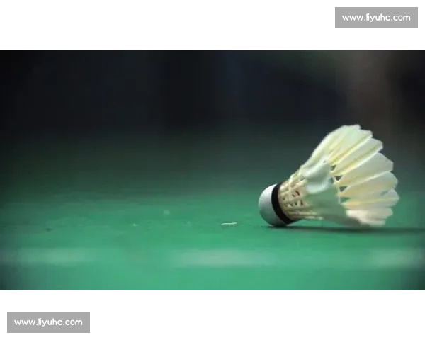 慢镜头抓不住的扣杀：时速 493 公里有多快？